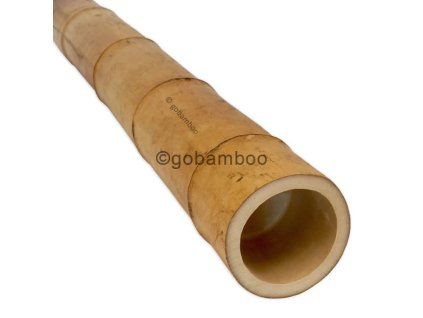 Bambusstange moso o 8 9 cm