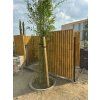 bambusovy panel gigant natural 6