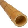 Bambusstange moso 12 14 cm