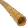 Bambusstange moso o 5 6 cm
