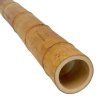 Bambusstange moso o 9 10 cm