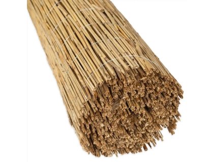 rakosova rohoz basic 2