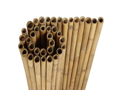 Přírodní bambusová rolka Tali Gigant