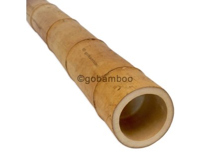 bambusova tyc moso o 8 9 cm