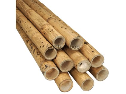 bambusova tyc guadua o 5 7 cm