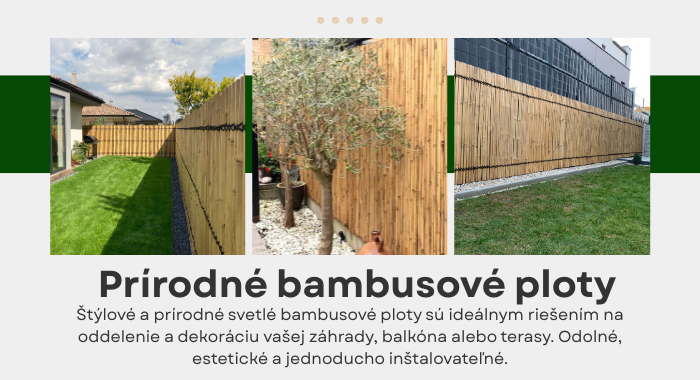Prírodné bambusové ploty