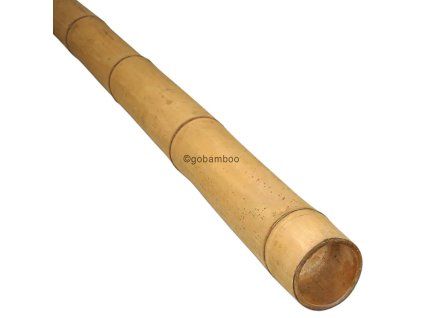 bambusova tyc guadua o 7 9 cm