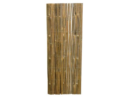 stiepany bambusovy plot