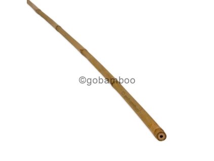 bambusova tyc tonkin o 10 12 mm