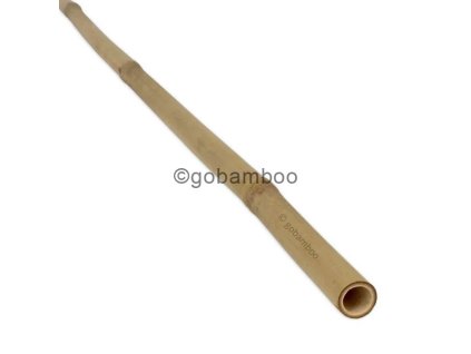 bambusova tyc tonkin o 18 20 mm