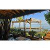 guadua pergola 5