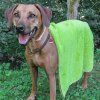 cc57d4867d50ca021315e9a3dc282c9e492a13ba 551218 00 I2 20 FAN thumbnail 2000px 72ppi
