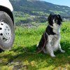 592a181f55d566ab9c838dba7641037800c2a8ab 214318 00 I1 18 FAN thumbnail 2000px 72ppi