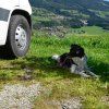 0954e0dba786ec526485a013d8d85671c3f432f3 214318 00 I2 18 FAN thumbnail 2000px 72ppi