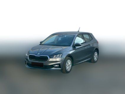 Škoda Fabia 1,0 MPI / 59 KW / Selection