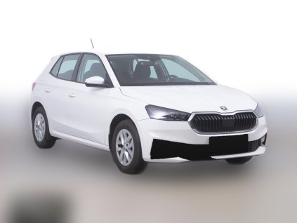 Škoda Fabia 1.0, Selection