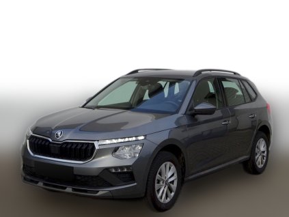 Škoda Kamiq 1.0 TSi 85kW. Selection