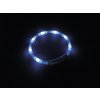 nobby led puppy svitici obojek modra 2