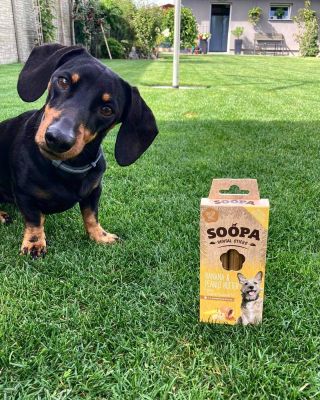 🗓v pátek 26.8. slavíme #mezinarodnidenpsu Tak nezapomeňte své čtyřnožce obdarovat, když mají svátek! Ať už třeba...