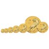 03 2021 YearoftheTiger Gold Bullion FullSet Coin OnEdge LowRes