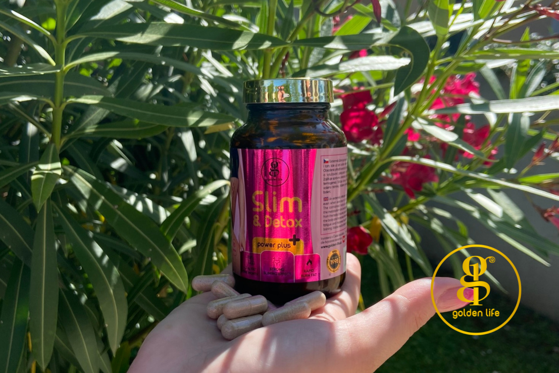 FORSKOLIN - NÁVRAT ZAKÁZANÉ, EXTRÉMNĚ ÚČINNÉ BYLINY