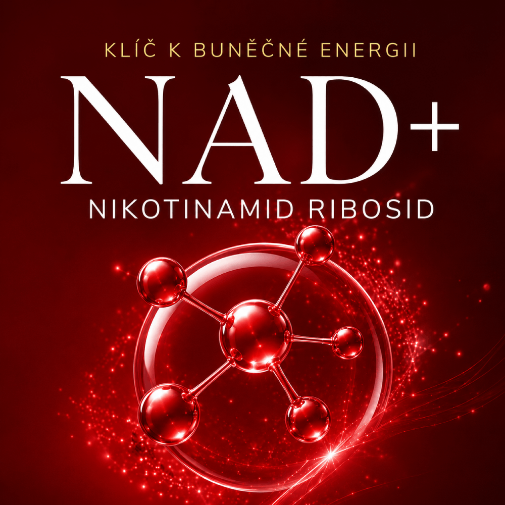 NAD+ a longevity: Co říká věda?