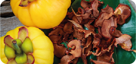 Garcinia HCA