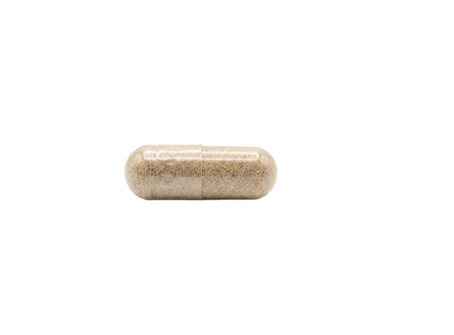 Nejdůležitější skupiny složek Brain & Focus