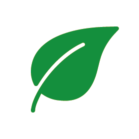 Unterstützt die Entgiftung