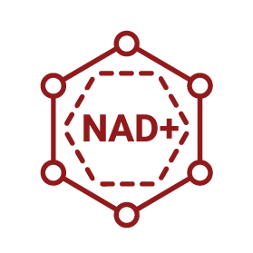 NAD+ prekurzor