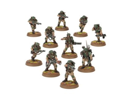 cadianTroops