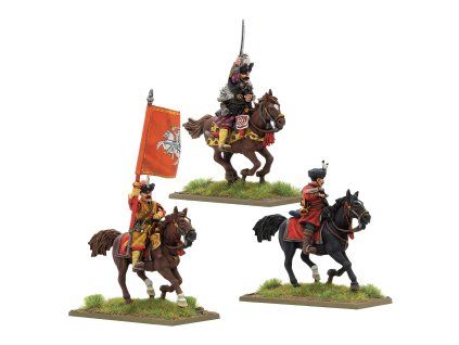 203011014 Polish Lithuanianlevycavalrycommand01