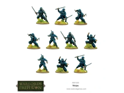 693015003 Warlords of Erewhon Ninjas1