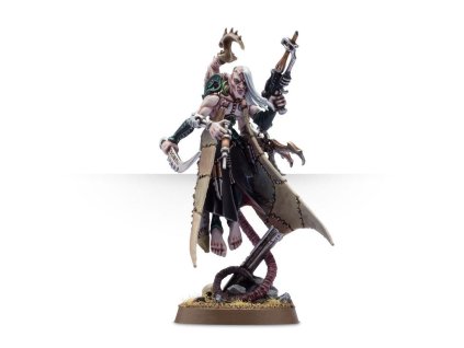 haemonculus