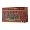 209901001 PancerniHeavyCavalry3Dboxrender