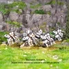 Teutonic mounted 2048x