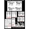 VXDA005 NORMAN HORSES AND SHIELDS 2048x