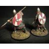 flags and transfers late saxon anglo dane shield designs lsax 6 2 2048x