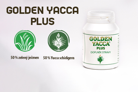 Golden Yacca Plus – detoxikace přirozenou cestou