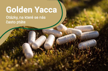 Golden Yacca - otázky, na které se nás často ptáte