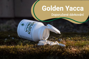 Golden Yacca dávkování
