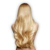 Středoevropské vlasy, gramáž #10.0 blond