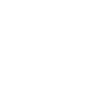 Vegan friendly