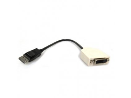 DisplayPort DVI2