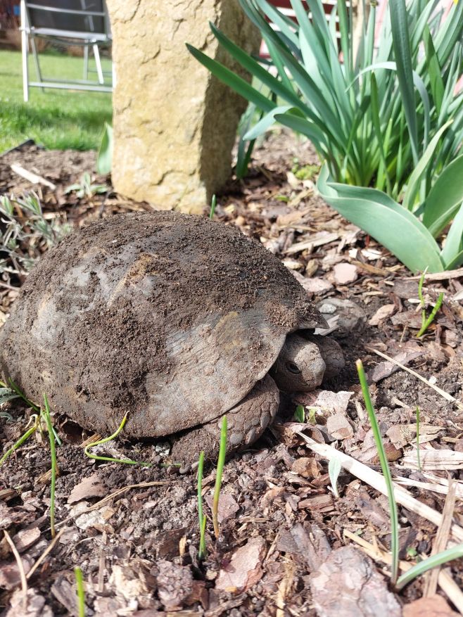 Na den jako před 3 lety