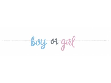 Banner Boy or Girl - 213 cm