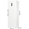 Gorenje Volně stojící chladnička Řada G600 - R619EAW6