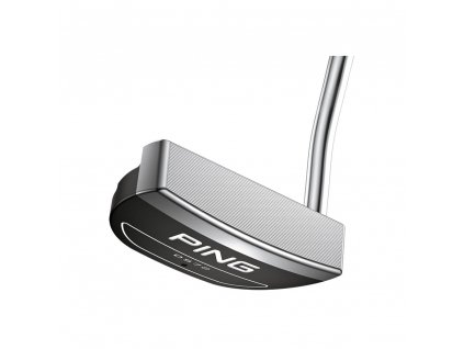 Ping PUTTERS PING 2023 DS72 CHROME STEPLESS STEEL (B) 34