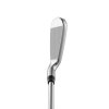 APEX Ai300 Iron Address 2025 005