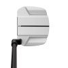 PING Scottsdale TEC Ally Blue H CB Putter